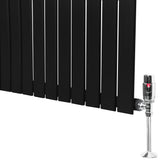Radiatore piatto monocolonna nero, dimensioni 600 x 910 mm, con finitura liscia e valvole cromate per un design moderno ed elegante