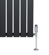 Radiatore piatto monocolonna grigio antracite, con finitura liscia e valvole lucide, dimensioni 1800 x 280 mm, design moderno e elegante