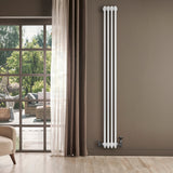 Radiatore tradizionale verticale a 4 colonne, finitura bianca, installato su parete beige, con valvole e vista su un giardino luminoso
