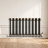 Radiatore Tradizionale 2 Colonne - 600 x 1010 mm - Metallo Grezzo
