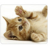 Tappetini per mouse a sublimazione PixMax (confezione da 10)