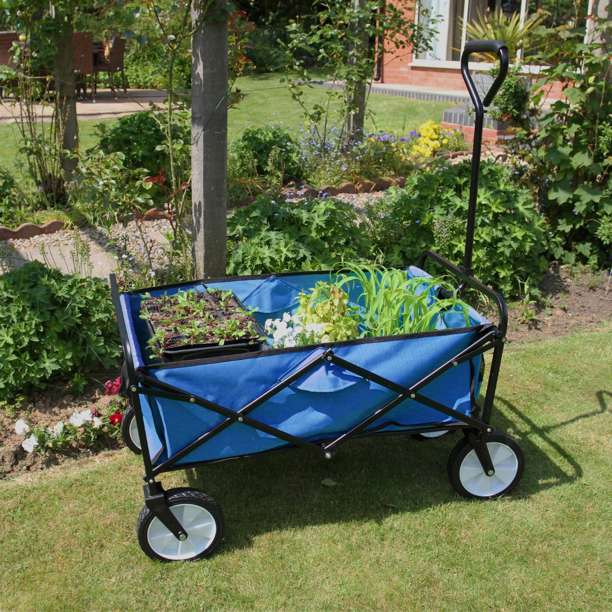 Carrello per Giardinaggio Pieghevole - Blu