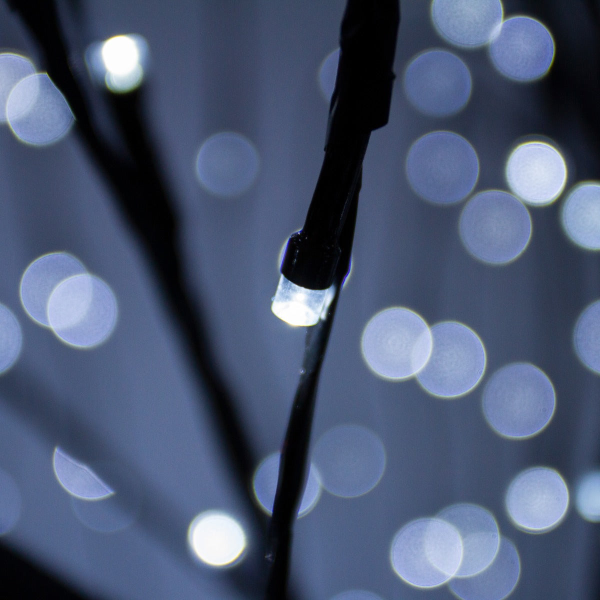 Salice Piangente Luminoso a LED - 240cm - Nero - Luci Fredde